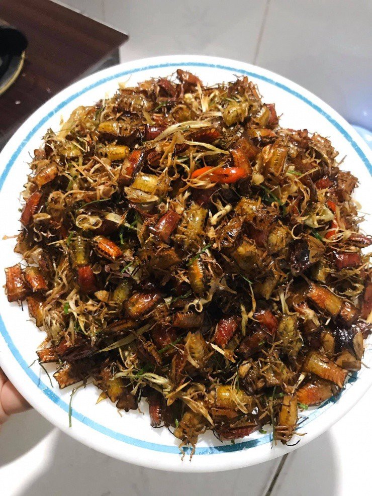 Bọ xít sau khi chế biến không còn mùi hôi, dậy vị thơm, ngon lạ miệng. Ảnh: Hà Đinh